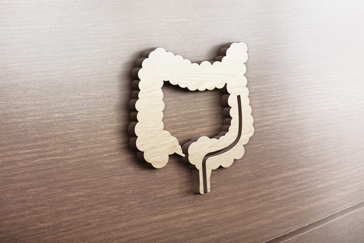 大腸カメライメージ