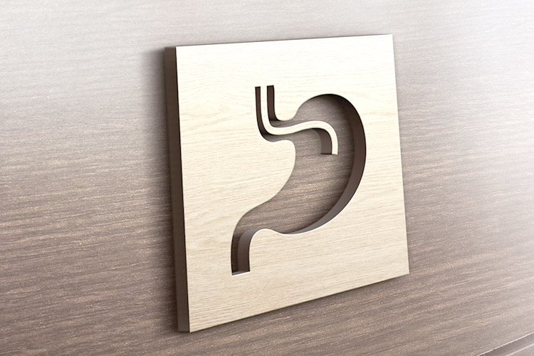 胃カメライメージ