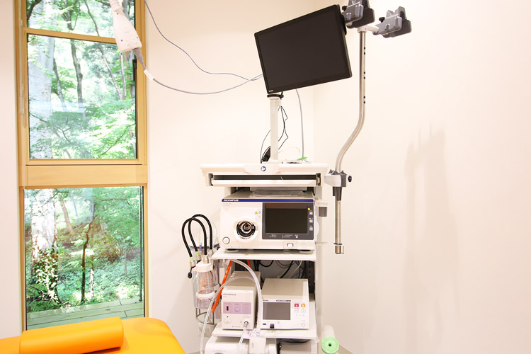 内視鏡検査装置